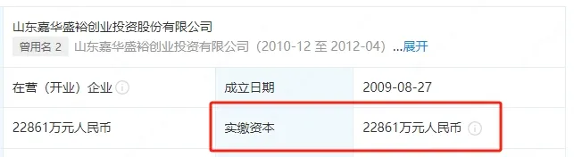 嘉华盛裕参股.png